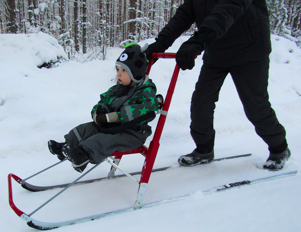 ESLA T6 Large (Standard) Kicksled