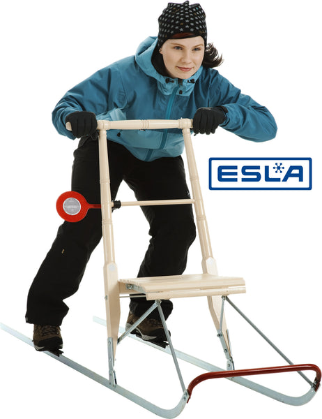 ESLA T6 Large (Standard) Kicksled