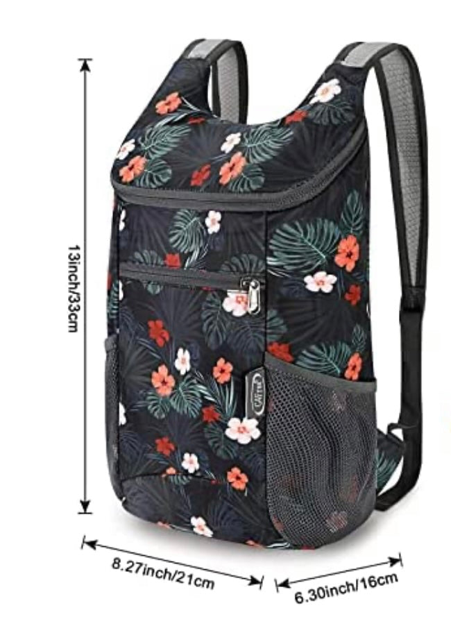 Caddy Backpack Kicksled Caddy Backpack – Kicksled Revolution