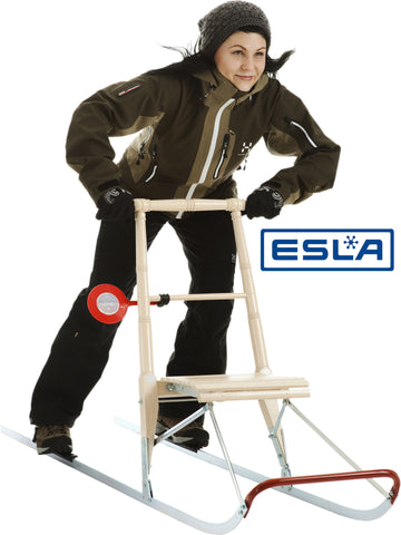 ESLA T4 Medium Kicksled