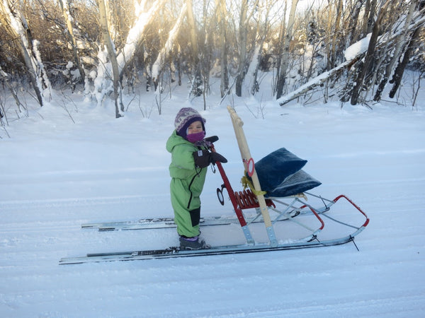 ESLA T2 Small Kicksled